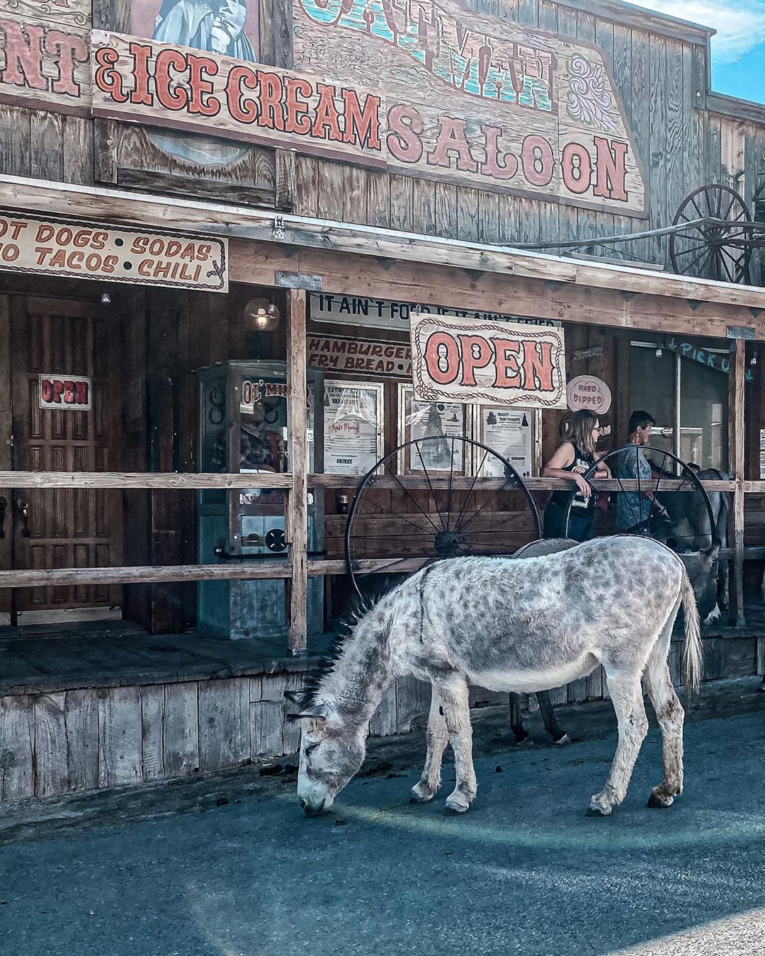 Horse Outside of the Oatman Saloon in Oatman, AZ. Photo by Instagram user @alimellem