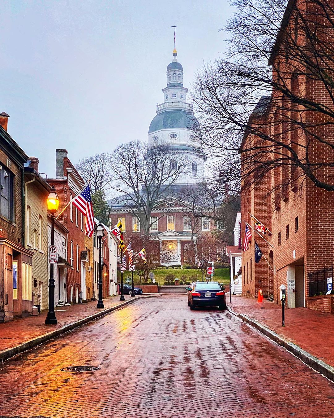View of the Old State House in Annapolis, MD from a Historic Brick Street. Photo by Instagram User @lenadrlena