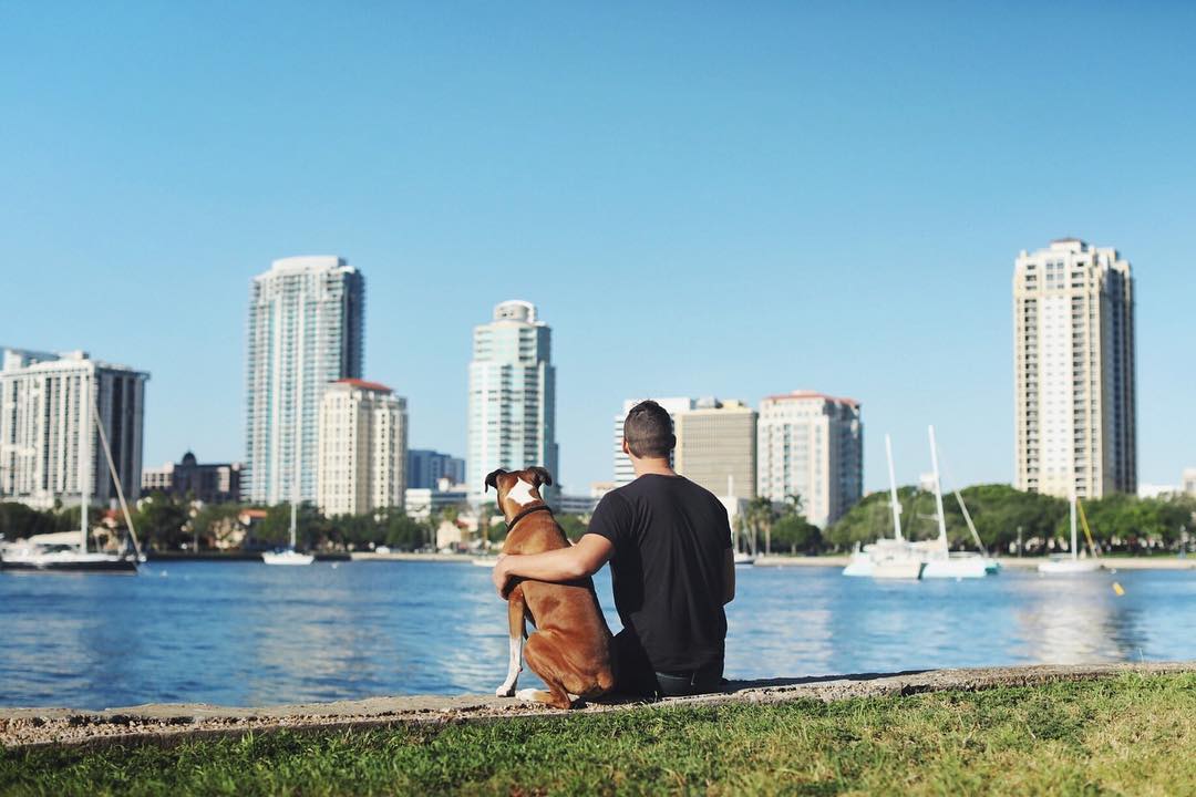 Man Sitting With His Dog Along the Bay. Photo by Instagram user @stpetefl