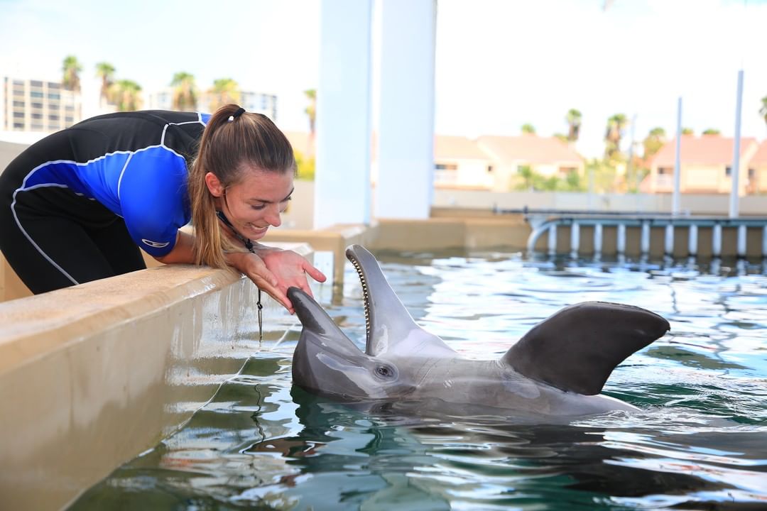 Woman Being Playful with a Dolphin. Photo by Instagram user @cmaquarium
