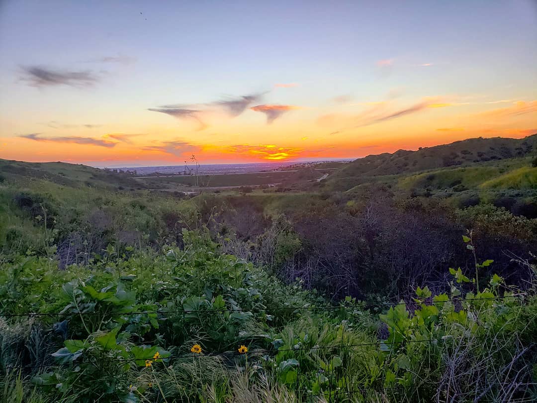 Sunrise Photo of Irvine, CA from the Irvine Ranch Conservancy. Photo by Instagram user @your_favorite_hiker