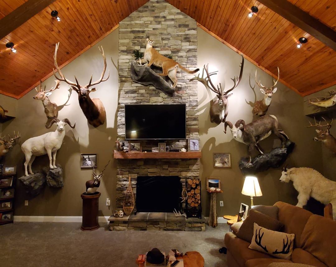 Room Filled with Stuffed Animal Trophy Heads on the Walls. Photo by Instagram user @tommyvance1112