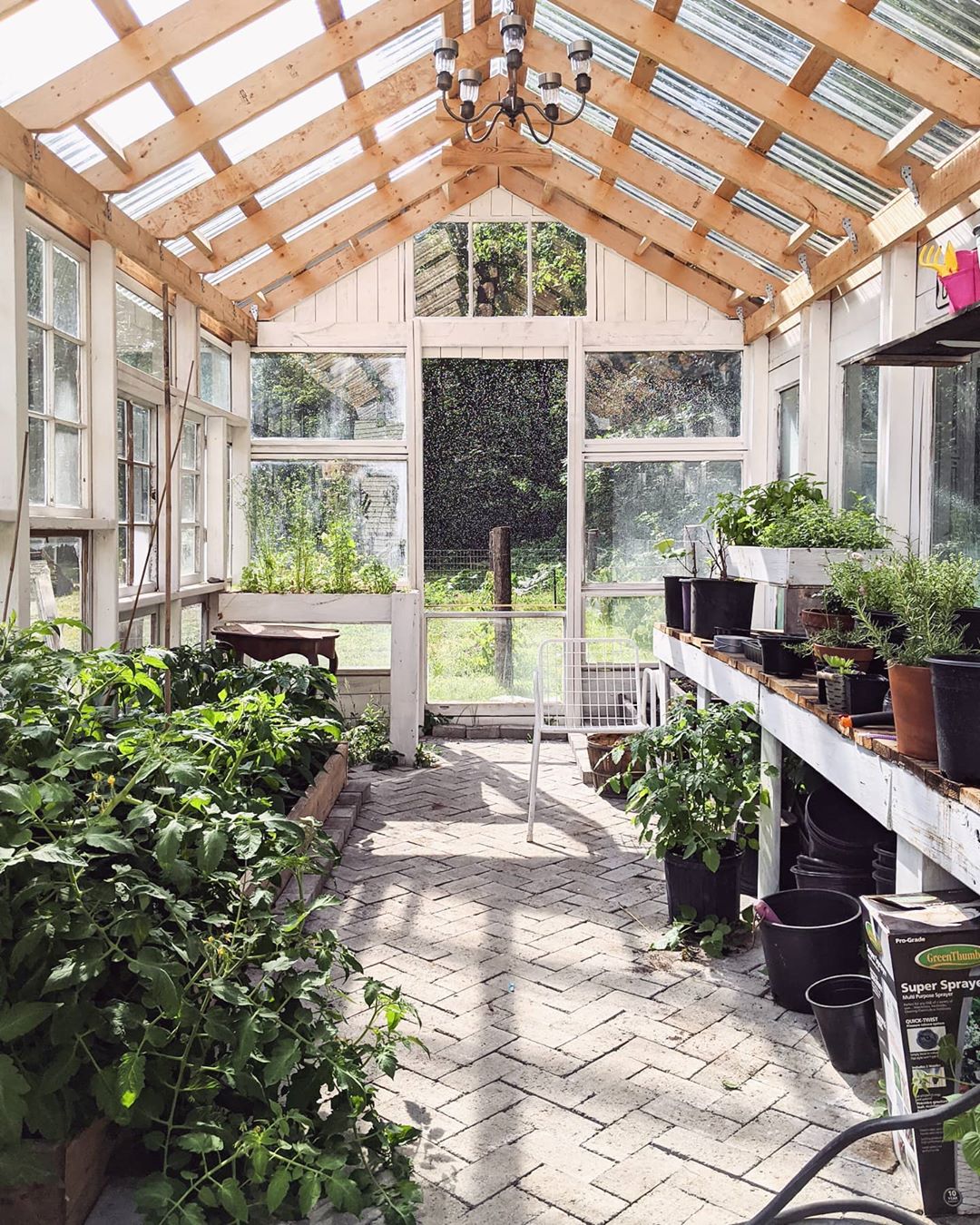 Garden She Shed with Greenery All Around. Photo by Instagram user @charmingnorth.blog