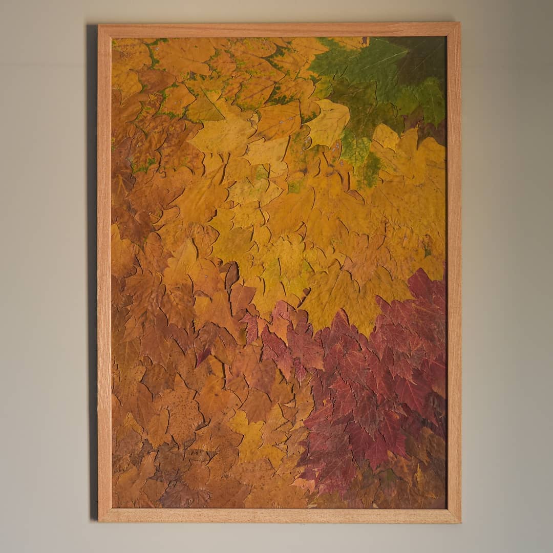 Framed Fall Colored Leaves as Artwork. Photo by Instagram user @framednymph