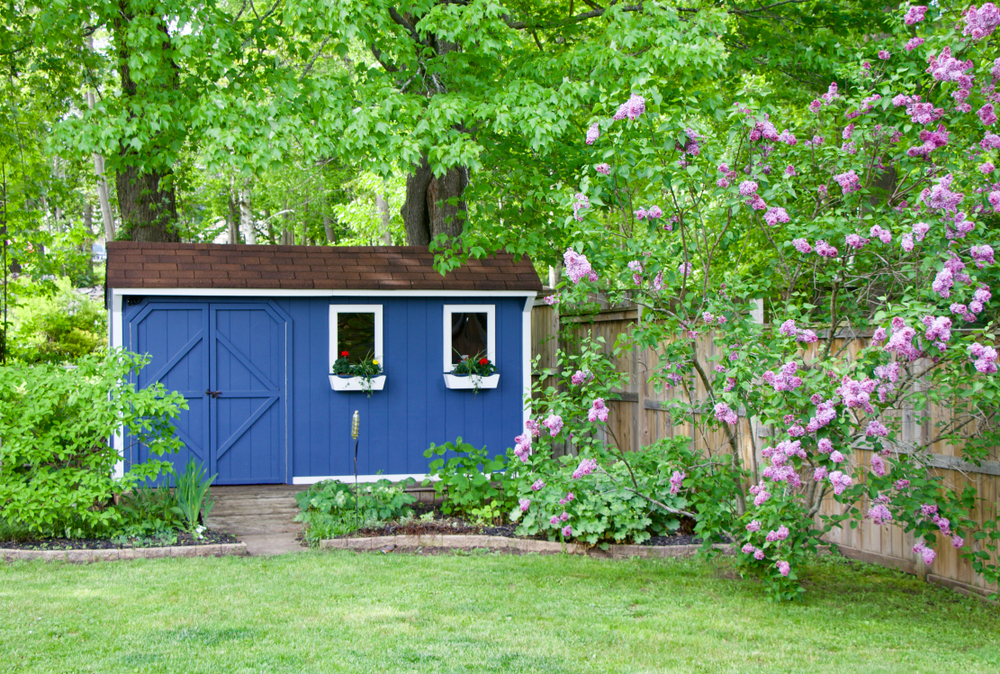 Blue She Shed in the Backyard with Foliage Around