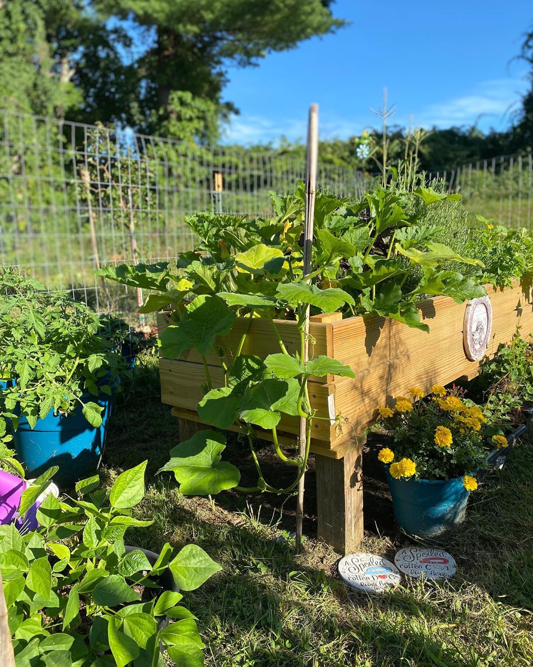 Homemade Garden Box in Backyard. Photo by Instagram user @homestead_honey__