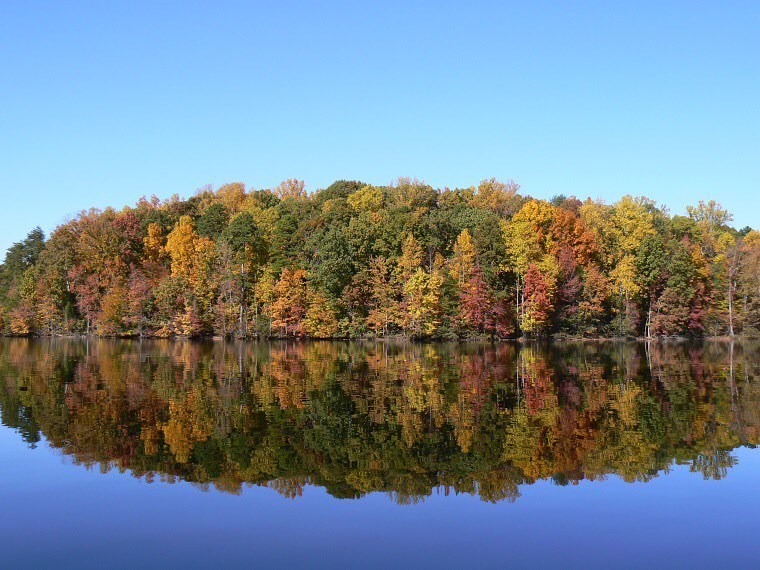 Photo of Fall Foliage on Lake Townsend in Greensboro. Photo by Instagram user @gsoparksandrec
