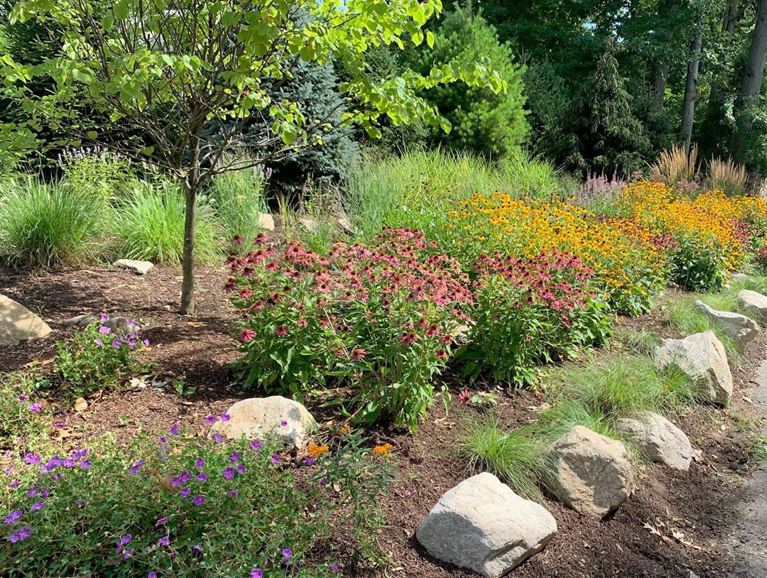 Native Plant Garden in a Backyard. Photo by Instagram user @greenjaylandscaping