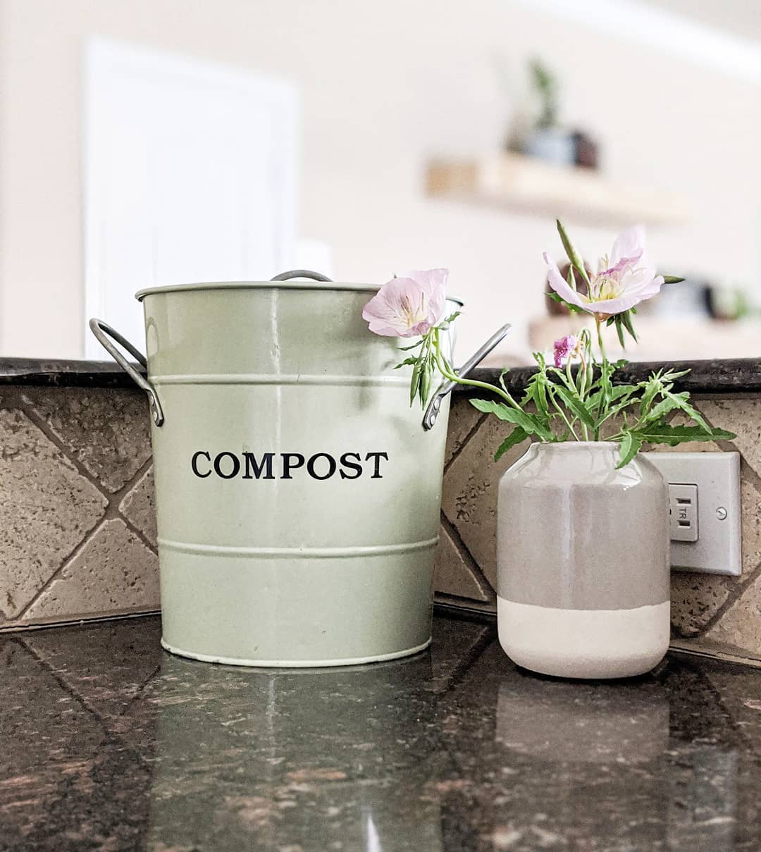 Small Compost Bucket Sitting on Kitchen Counter. Photo by Instagram user @pursuing.roots
