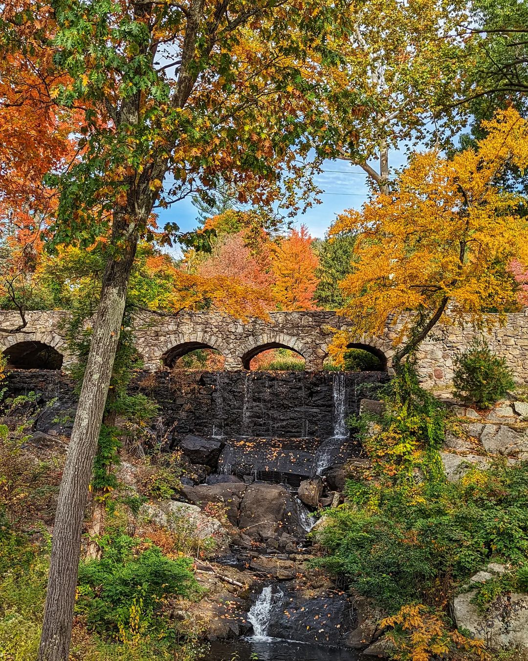 Side view of a cobblestone bridge with trees in the Fall. 