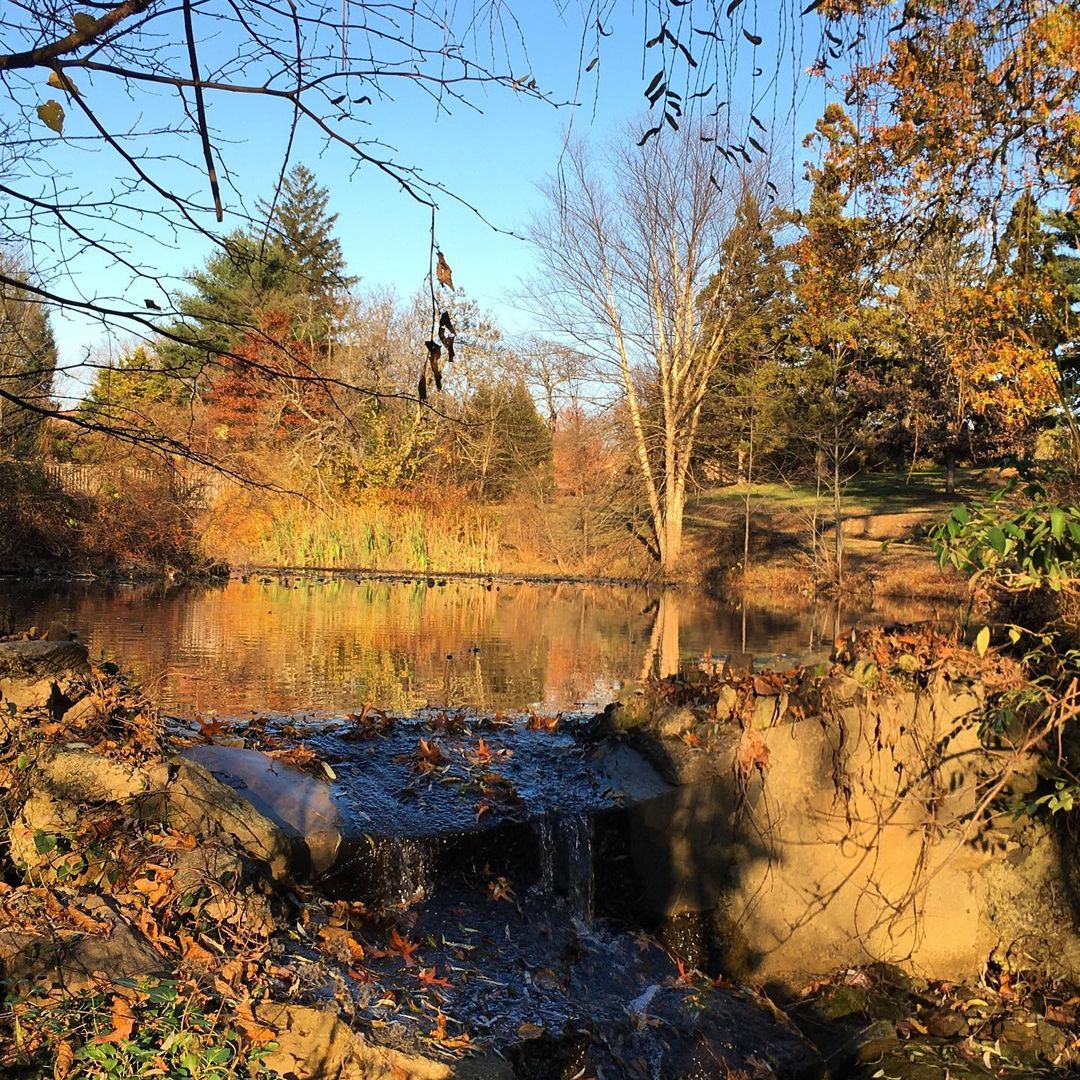 An area of Cadwalader Park with a small waterfall over bedrock, surrounded by several trees and greenspace. Photo by Instagram user @lamokaledger