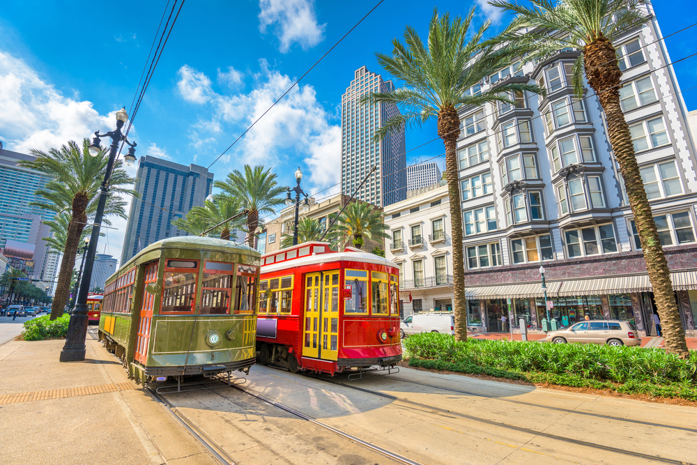 Trolleys and palm trees on a sunny day in New Orleans.