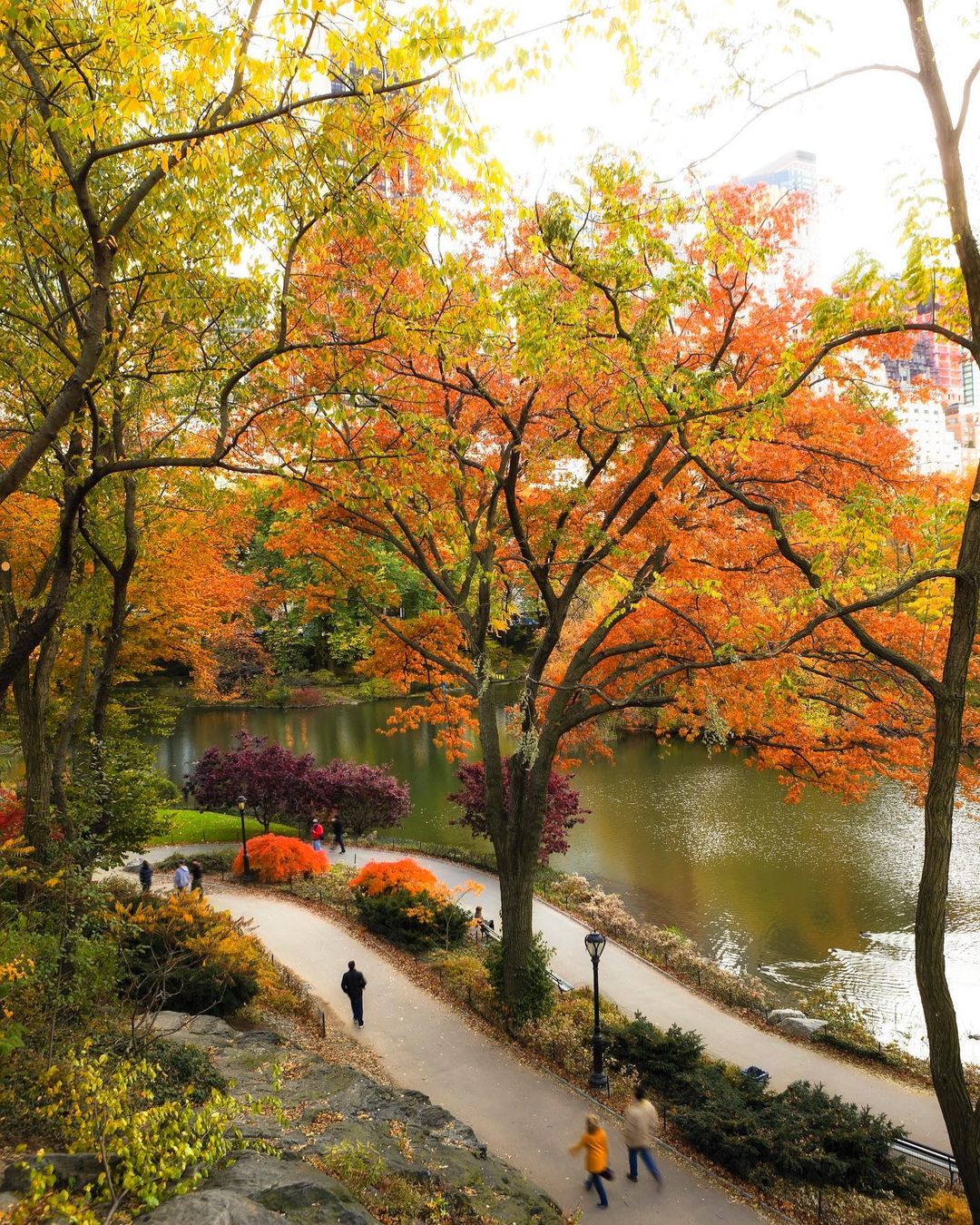 Photo of Central Park in the Fall in NYC. Photo by Instagram user @nybucketlist