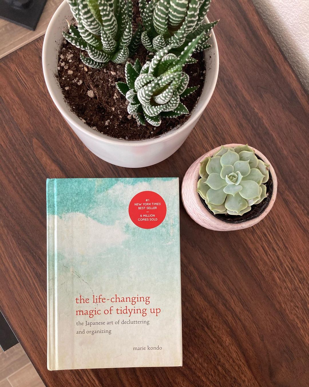 Looking down on Marie Kondo's book, a small succulent, and a larger aloe plant. Photo by Instagram user @thedaughterdiaries.