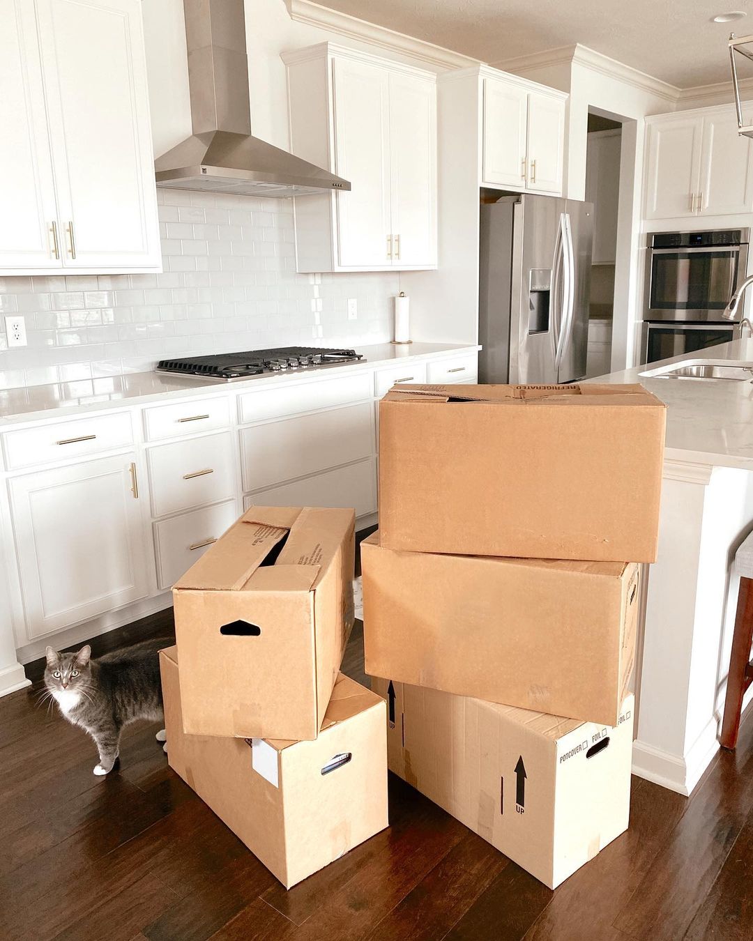 Packed boxes in an empty kitchen; there's a cat peeking out behind them. Photo by Instagram user @emilysomerssmith.