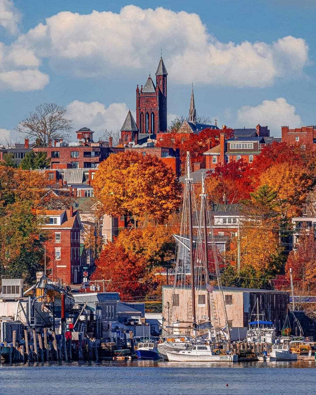 Views of the Portland Waterfront and trees that have changed color in autumn. Photo by Instagram user @413valleyguy.
