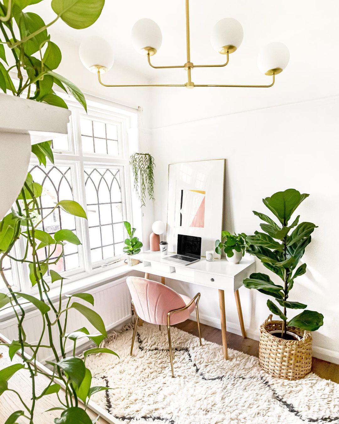 Bright, white room with hanging plants, a large fiddle-leaf fig across from a baby fiddle-leaf fig, and a golden pothos off-frame with the leaves cascading along the side of the photo. Throughout the room, metallic gold accents the light fixture, arms and legs of the desk chair. Photo by Instagram user @homewithkelsey.