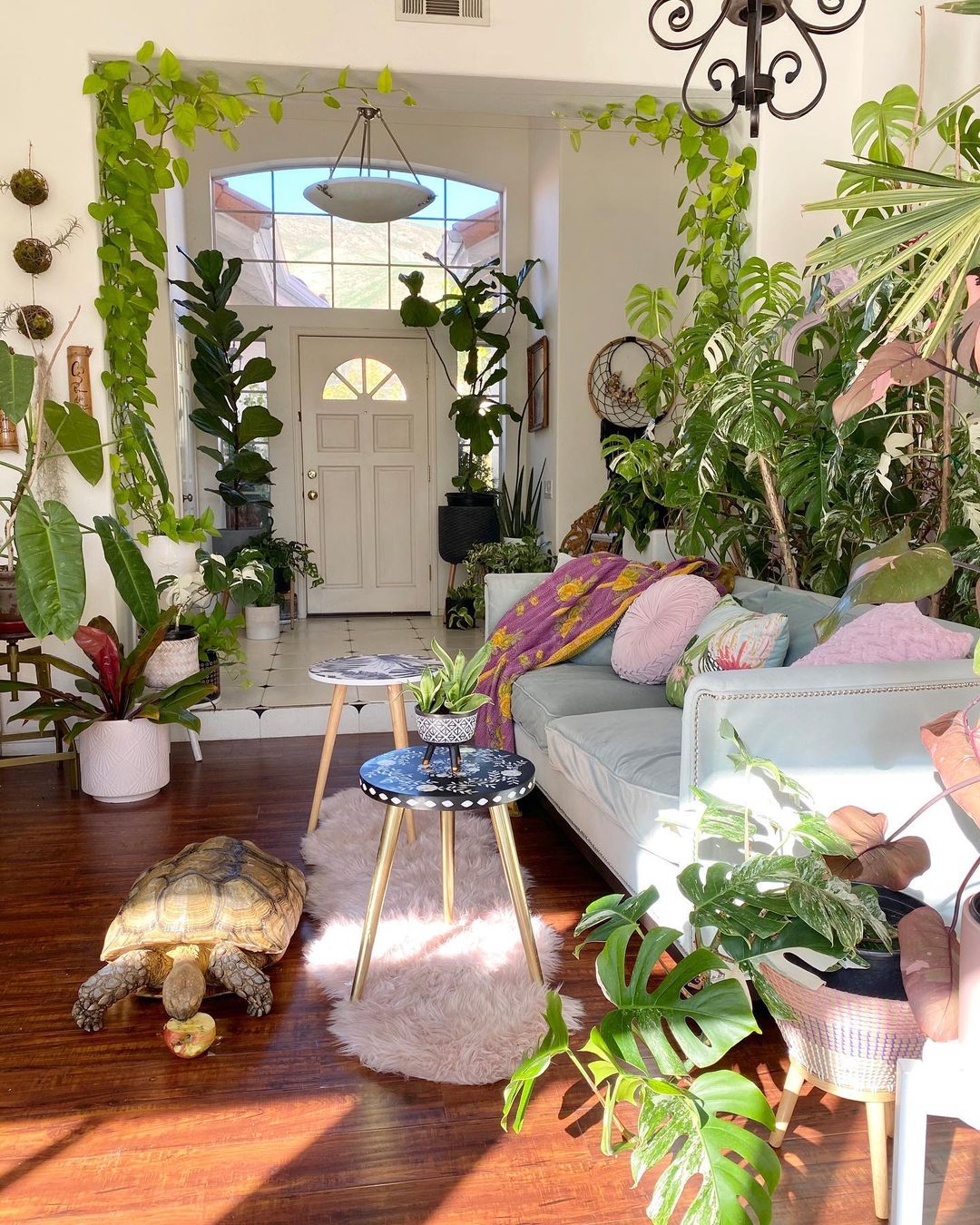 Interior of bohemian-inspired living room with biophilic design and houseplants