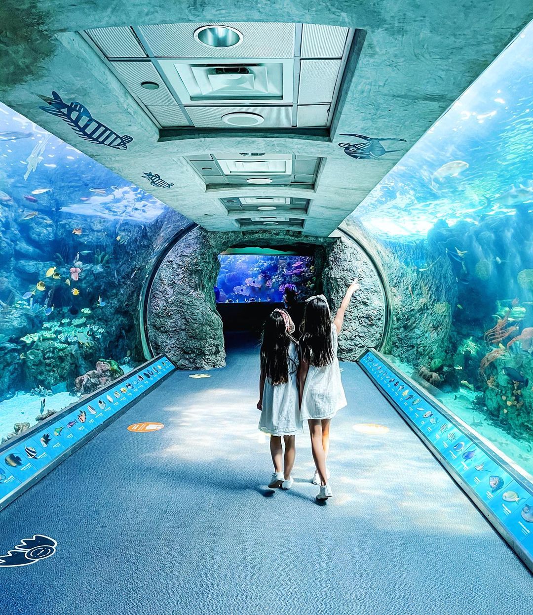 Two young sisters walk through the tunnel of Aquarium of the PAcific in Long Beach, CA. Photo by Instagram user @beachseakers.