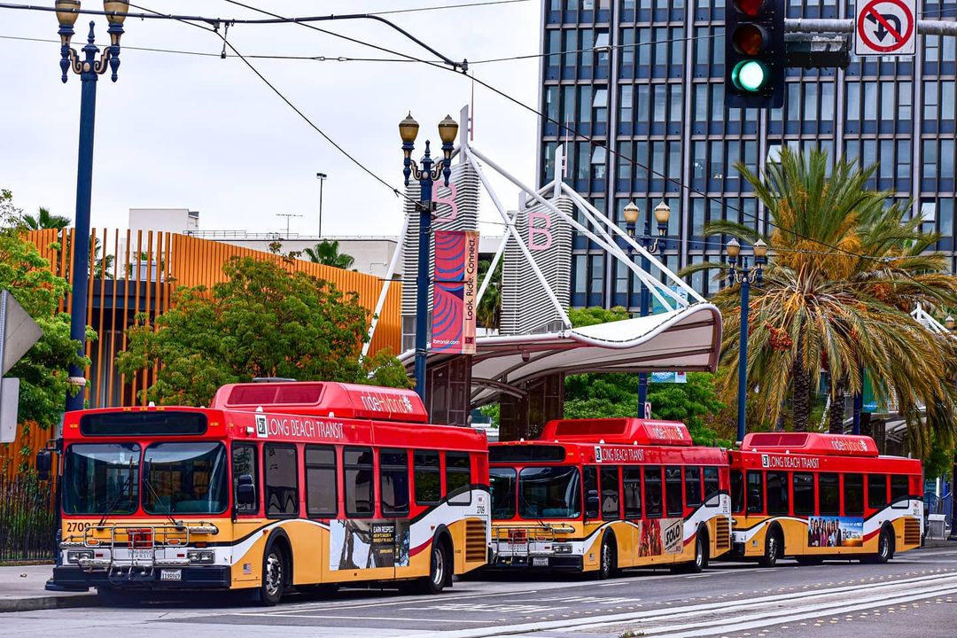 Three Long Beach transit buses ready to transport passengers. Photo by Instagram user @thetransitjournal.