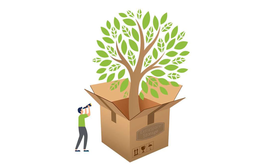 Cartoon of a Person Looking at a Tree Growing Out of a Moving Box