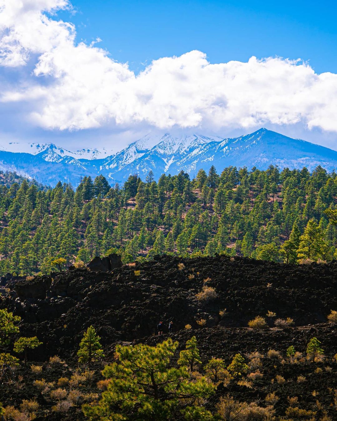 Photo of Sunset Crater Volcano National Monument with the San Francisco Mountains. Photo by Instagram user @tylerbarks