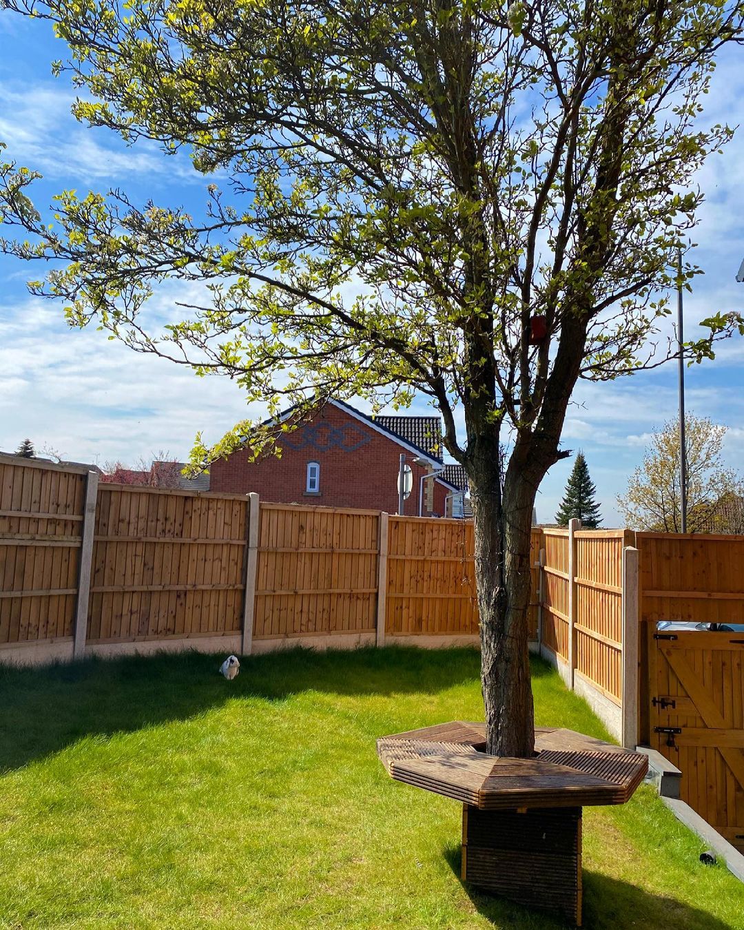 Backyard Tree Bench. Photo by Instagram user @oursummerfieldshome