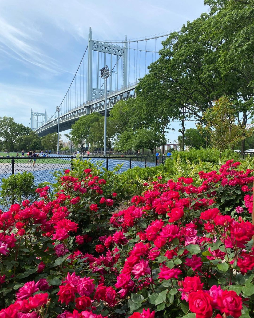 Flower garden in Astoria Park in Queens with bridge in the background photo by instagram user @julianna.m.k_