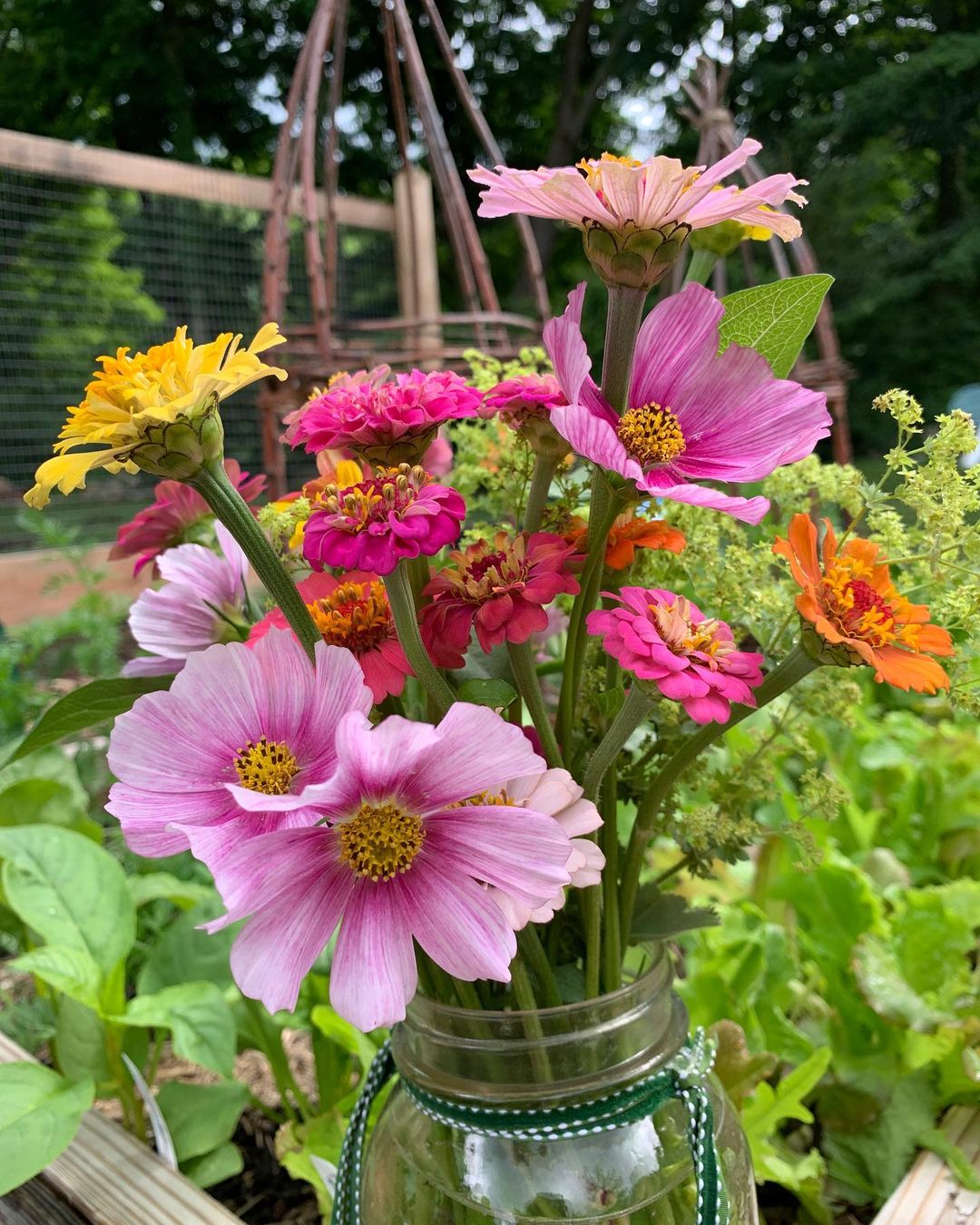 Annual flowers put inside a mason jar in the middle of a lush garden. Photo by instagram user @peggygarbus
