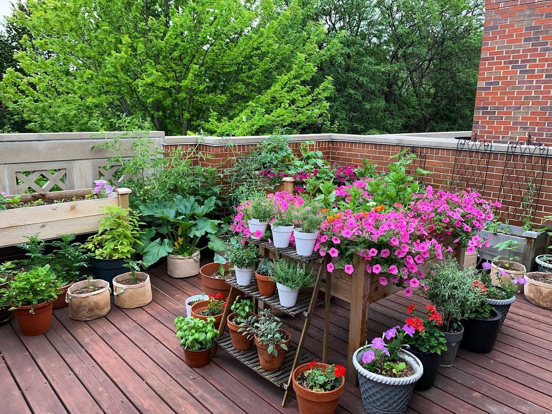 Potted plants sitting on a small deck with colorful flowers inside. Photo by Instagram user @chicagogardener