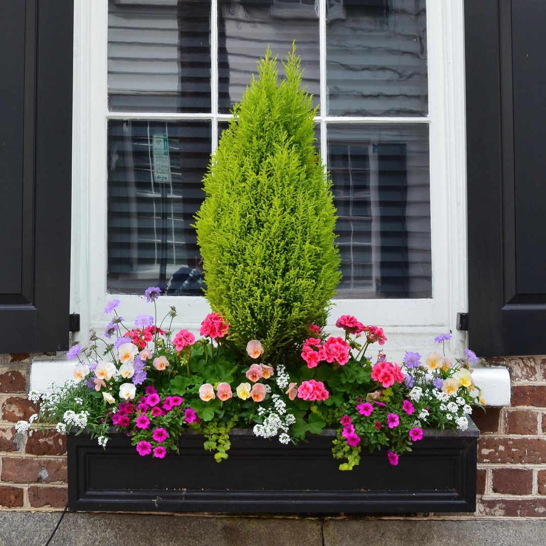 Window box full of flowers and a small bush sitting against a brick house. Photo by Instagram user @lepetaledujardin