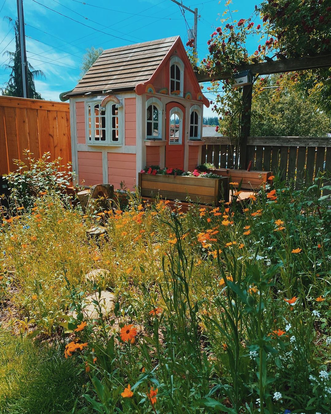 6 Easy Gardening Tips for Tiny Home Dwellers