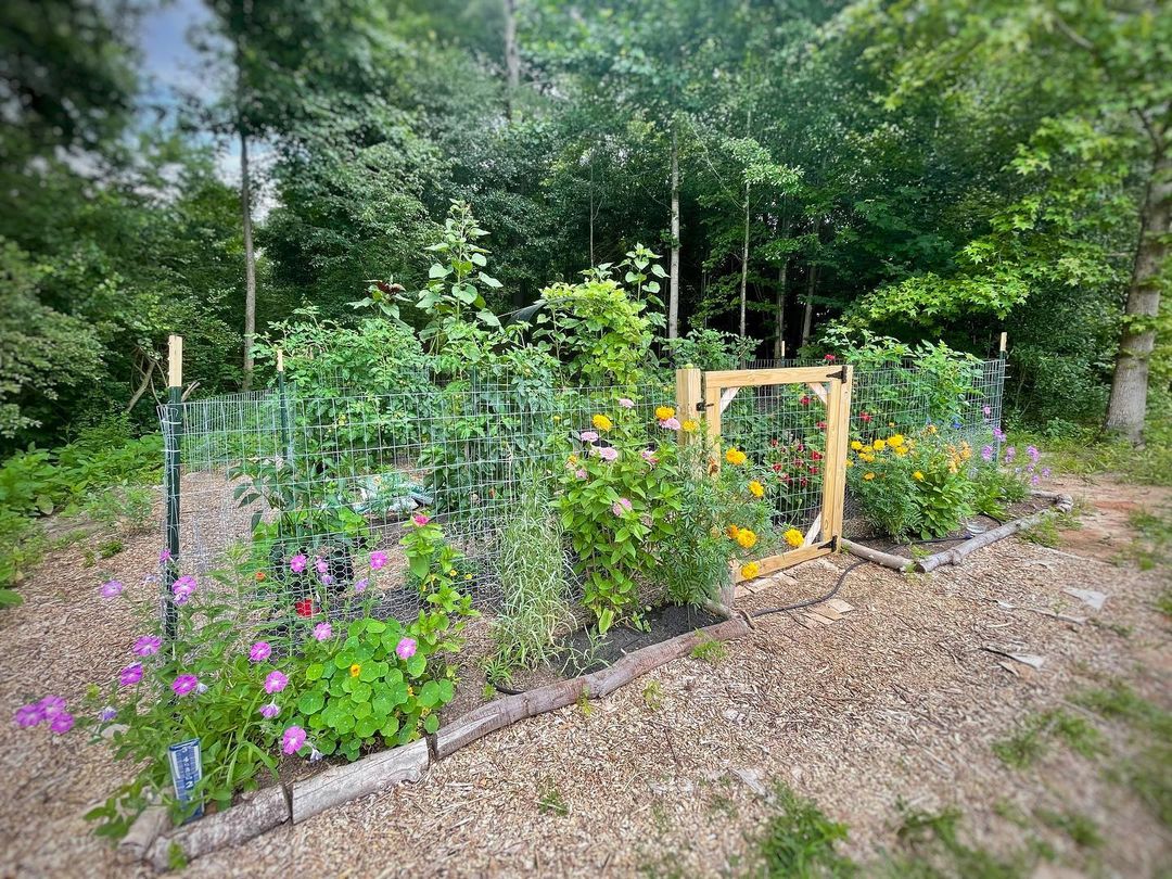 Rustic garden path made from woodchips with a garden protected by a wire fence and DIY garden door with hinges. Photo by Instagram user @gardenwithgeorgia