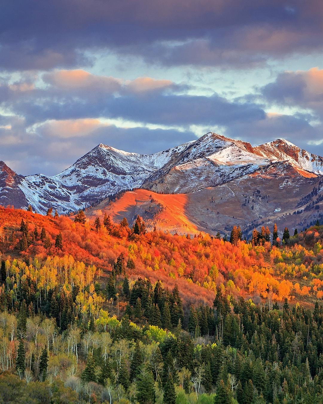 Fall Colors Covering the Wasatch National Forest in Salt Lake City, UT. Photo by Instagram user @expedia