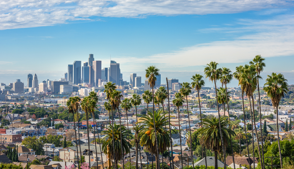 View of the Los Angeles Skyline at Mid Day