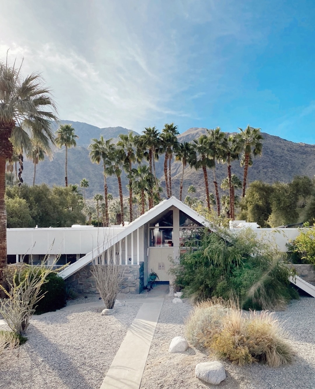 Exterior of a modern home with a sharply angled roof in palm springs with a desert landscaped front yard and a cluster of palm trees in the background. Photo by instagram user @designdudeslife