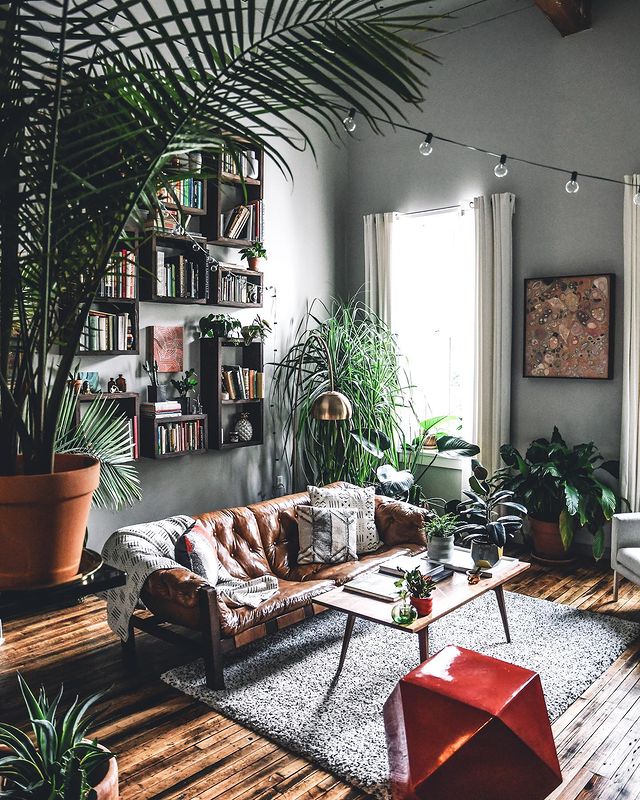 Mid-century modern apartment with sleek furniture, Edison lights, and a lot of houseplants. Photo by instagram user @hiltoncarter