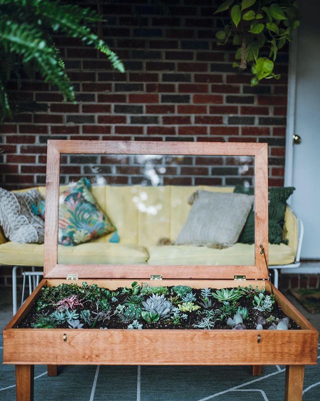 A terrarium made out of a glass-topped coffee table on the back patio of a red brick home. Photo by instagram user @grissybears