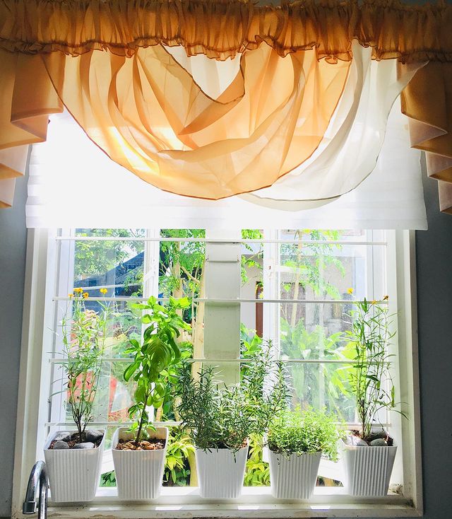 A kitchen window with a lot of natural light and herbs in window pots. Photo by instagram user @khiesebromano