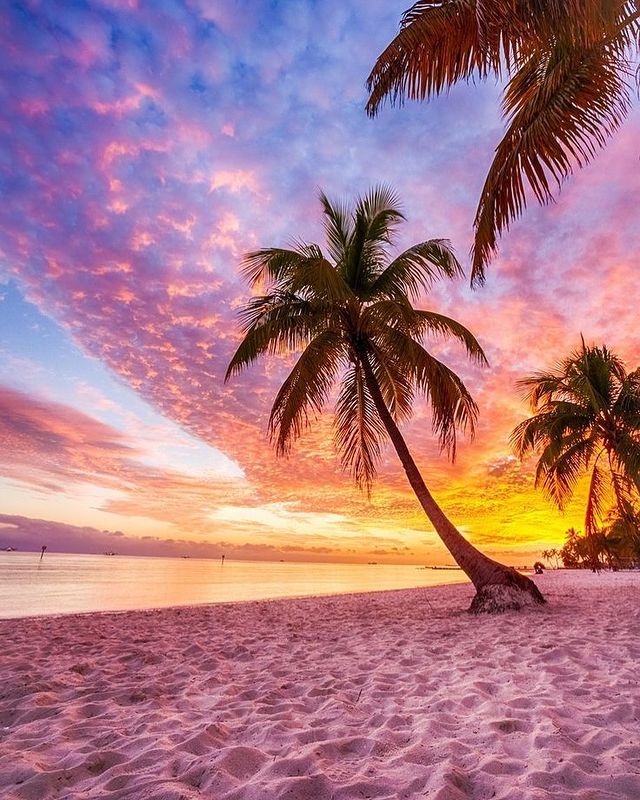 Picturesque sunset on the beach in Key West with a colorful sunset with blue, pink, purple, and orange colors in the couds. Photo by instagram user @adventure.florida