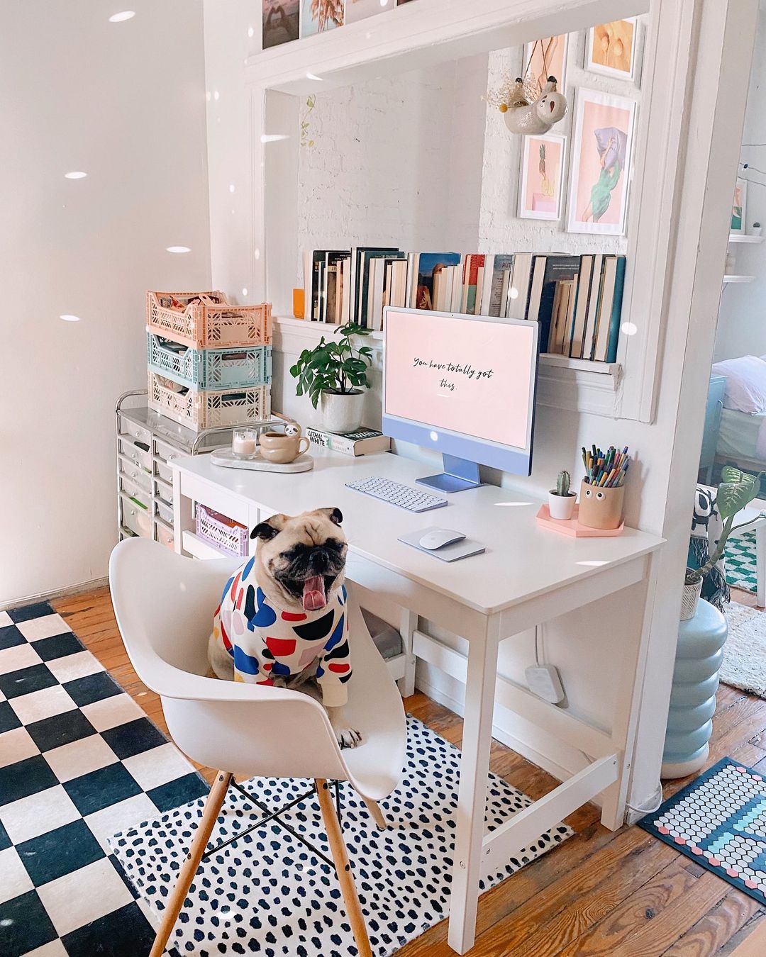 Dog Sitting at a Small Desk in an Apartment. Photo by Instagram user @honeyidressedthepug