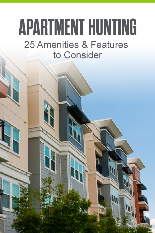 One Bedroom Apartments In Jacksonville Fl