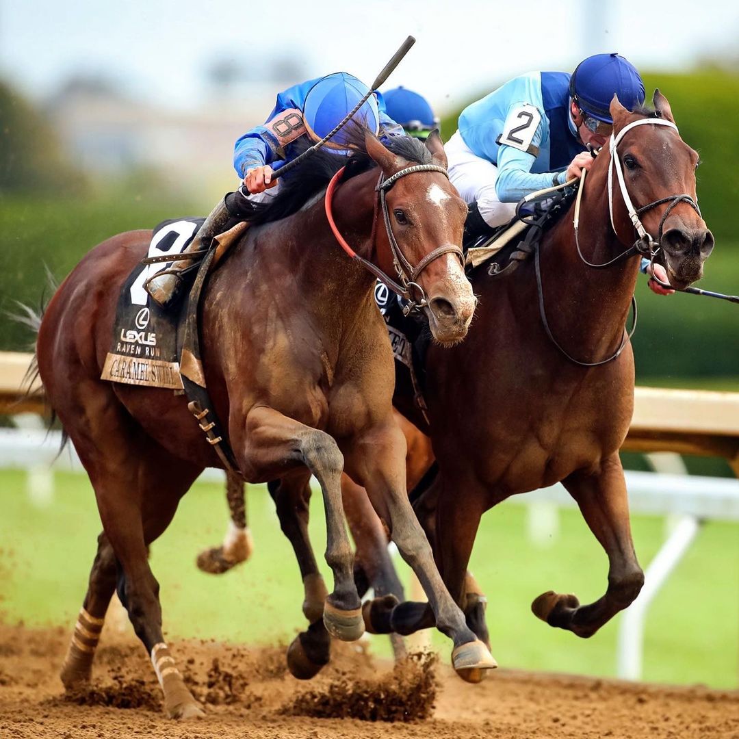 Horses racing mid-gallop in the lexus raven run in Lexington. Photo by instagram user @keeneland