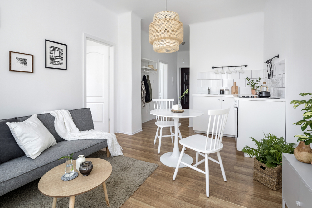 Interior Living Room of a Small In-Law Suite