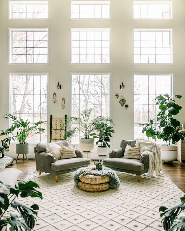 Modern family room with chairs, table, and plenty of plants