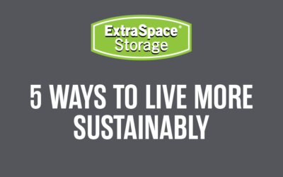 5 Ways to Live More Sustainably (Infographic)