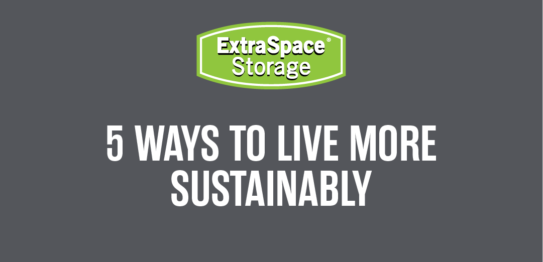 5 Ways to Live More Sustainably