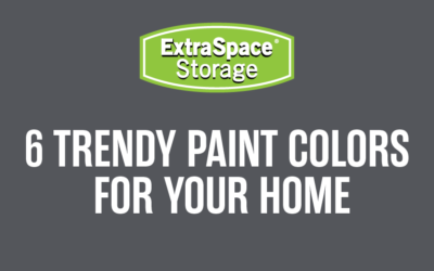 6 Trendy Paint Colors for Your Home (Infographic)