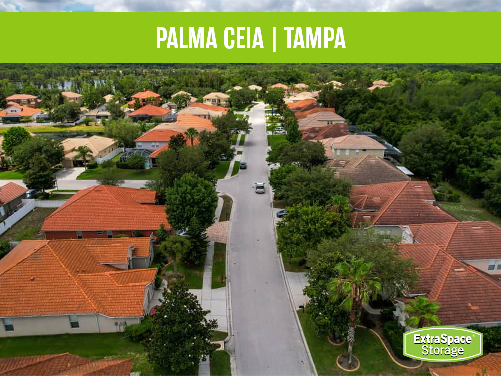 Palma Ceia, Tampa