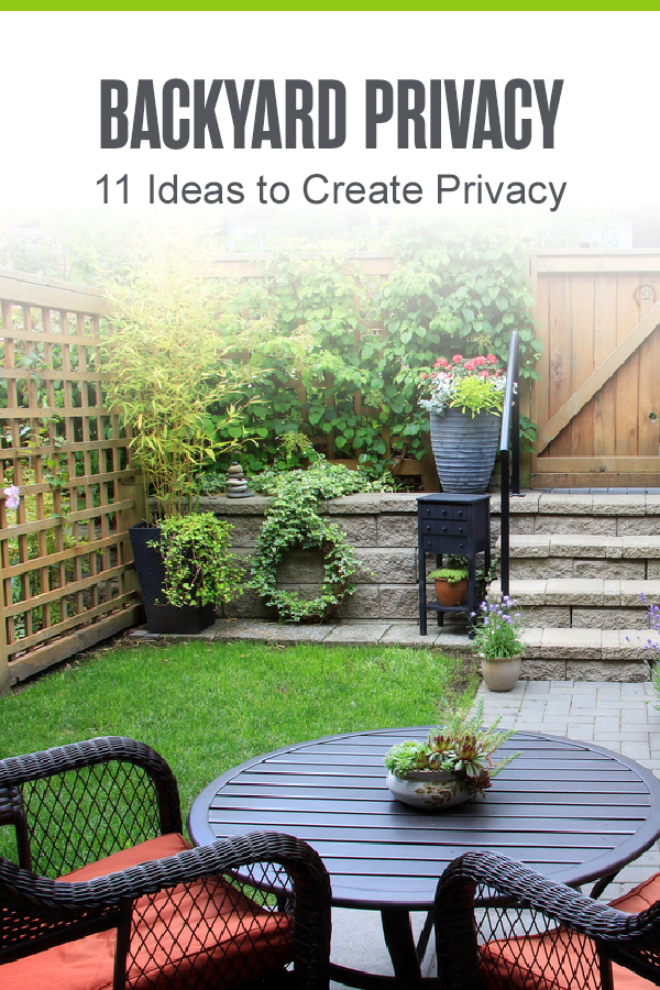 Backyard Privacy: 11 Ideas to Create Privacy